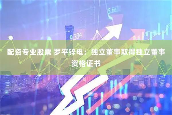 配资专业股票 罗平锌电：独立董事取得独立董事资格证书