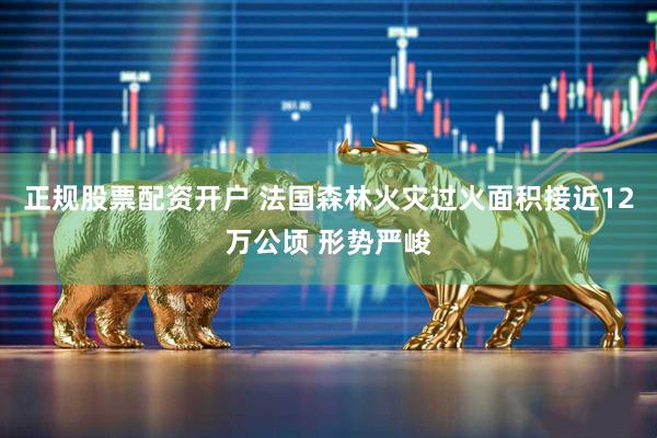 正规股票配资开户 法国森林火灾过火面积接近12万公顷 形势严峻